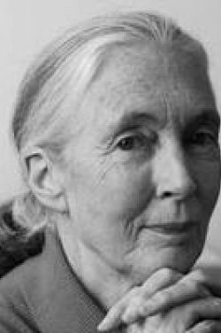 Miniatura plakatu osoby Jane Goodall