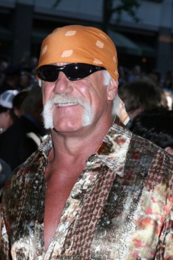 Miniatura plakatu osoby Hulk Hogan