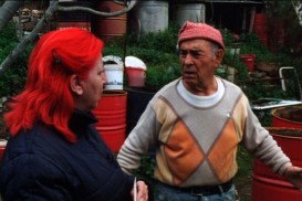 La pivellina (2009) - Patrizia Gerardi