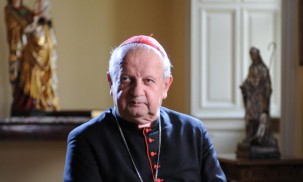 Jan Paweł II. Szukałem Was... (2011)