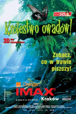 Miniatura plakatu filmu Królestwo owadów