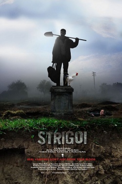 Miniatura plakatu filmu Strigoi