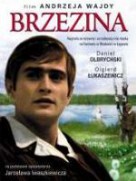 Brzezina (1970)