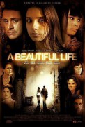 A Beautiful Life (2008)