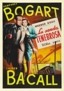 Dark Passage (1947)