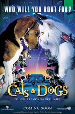 Miniatura plakatu filmu Psy i koty