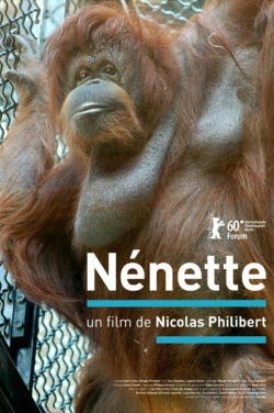 Miniatura plakatu filmu Nenette