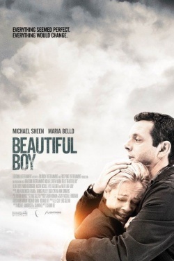 Miniatura plakatu filmu Beautiful Boy