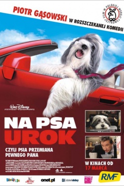Miniatura plakatu filmu Na psa urok