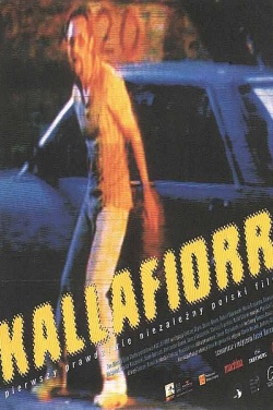Miniatura plakatu filmu Kallafiorr