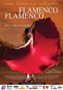 Flamenco, flamenco (2010)