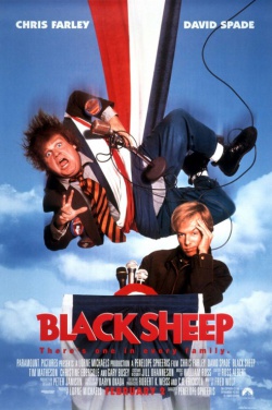 Miniatura plakatu filmu Czarna owca