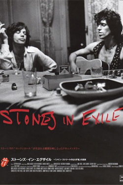 Miniatura plakatu filmu Stones in Exile