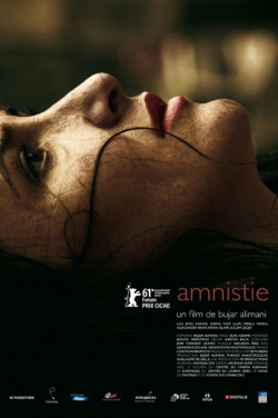 Miniatura plakatu filmu Amnestia