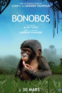 Miniatura plakatu filmu Bonobos