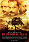 Bir zamanlar Anadolu'da (2010)