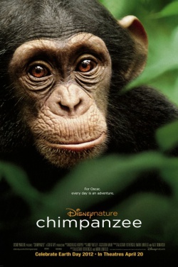 Miniatura plakatu filmu Chimpanzee