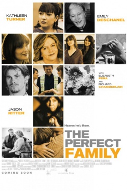 Miniatura plakatu filmu Perfect Family, The