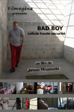 Miniatura plakatu filmu Bad Boy – cela dla niebezpiecznych