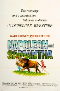 Miniatura plakatu filmu Napoleon i Samanta