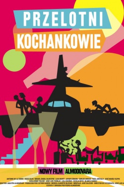 Miniatura plakatu filmu Przelotni kochankowie