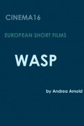 Wasp (2003)