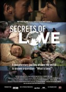 Sekrety miłości (2013)