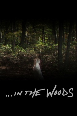Miniatura plakatu filmu In the Woods