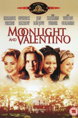 Miniatura plakatu filmu Księżyc i Valentino