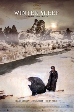 Miniatura plakatu filmu Zimowy sen