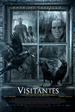 Miniatura plakatu filmu Visitantes