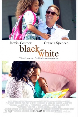 Miniatura plakatu filmu Black or White