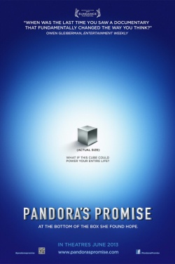 Miniatura plakatu filmu Obietnica Pandory