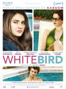 White Bird in a Blizzard (2014)