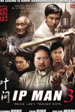 Miniatura plakatu filmu Yip Man 3