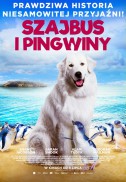 Szajbus i pingwiny (2015)