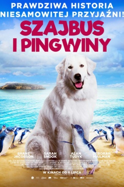 Miniatura plakatu filmu Szajbus i pingwiny