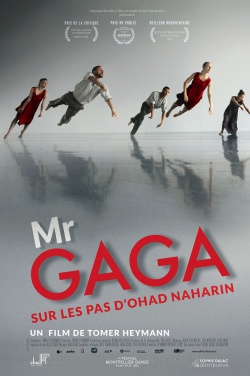 Miniatura plakatu filmu Mr. Gaga