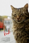 Kedi - sekretne życie kotów (2016)