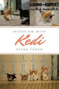 Miniatura plakatu filmu Kedi - sekretne życie kotów