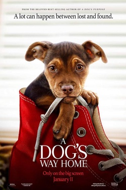 Miniatura plakatu filmu O psie, który wrócił do domu