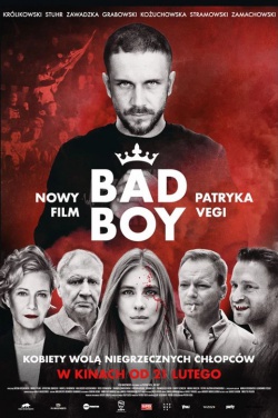 Miniatura plakatu filmu Bad Boy