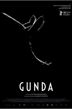 Miniatura plakatu filmu Gunda