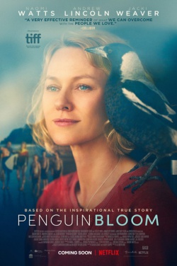 Miniatura plakatu filmu Penguin Bloom: Niesamowita historia Sam Bloom