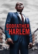 Ojciec chrzestny Harlemu (2019)