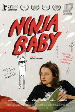 Miniatura plakatu filmu Ninjababy