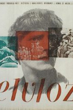 Miniatura plakatu filmu Celuloza