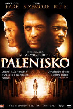 Miniatura plakatu filmu Palenisko