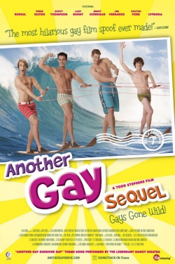 Miniatura plakatu filmu Another Gay Sequel: Gays Gone Wild