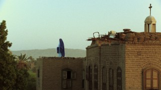 La Vierge, Les Coptes et Moi (2011)